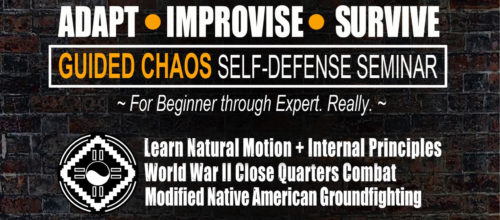 Seattle Combative Movement Seminar | December 15-16, 2018